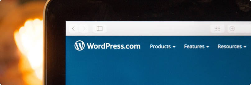 Разработка сайтов на «WordPress»